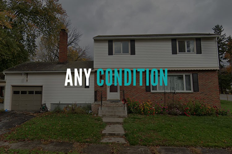 Last House Calls Buys in Any Condition